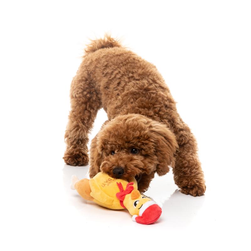 Dog Toy - Christmas
