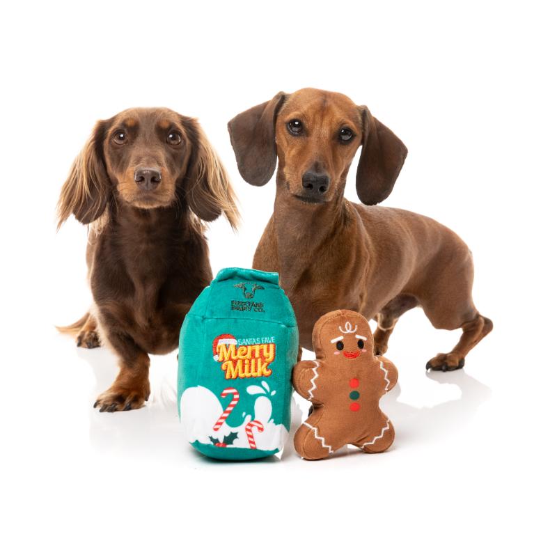 Dog Toy - Christmas