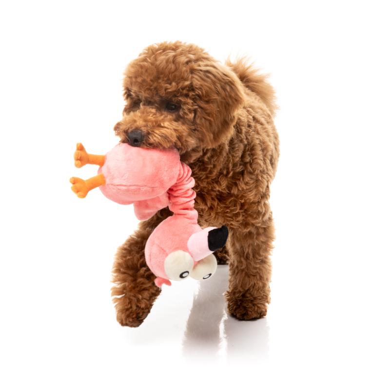 Dog Toy - Neck Minnits