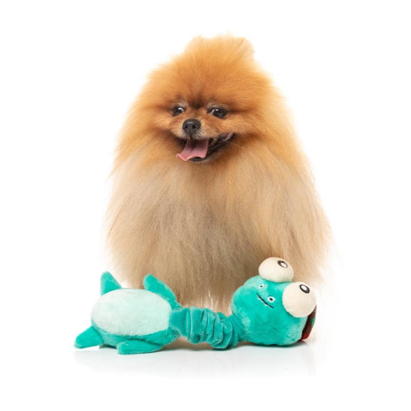 Dog Toy - Neck Minnits