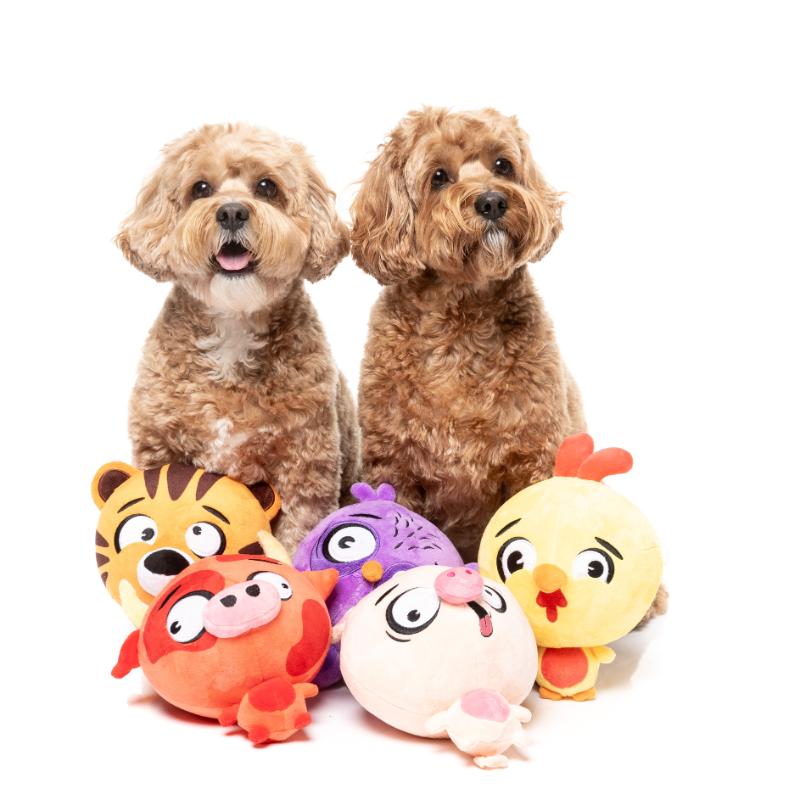 Dog Toy - The Noggins