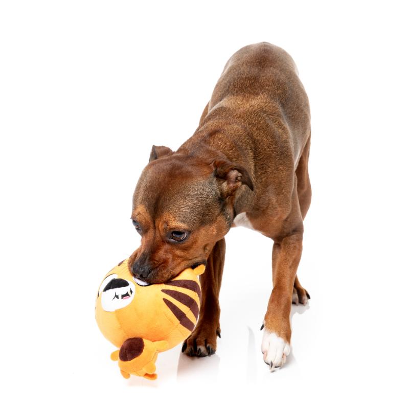 Dog Toy - The Noggins