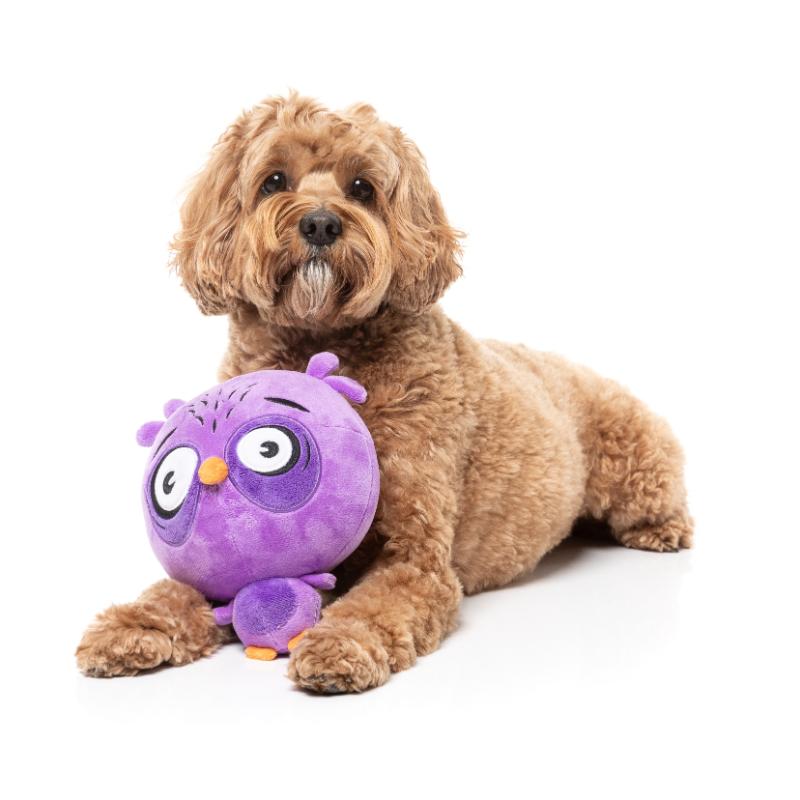 Dog Toy - The Noggins