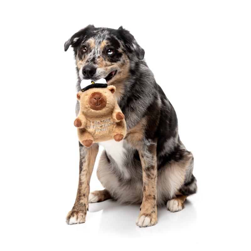 Dog Toy - Happybaras