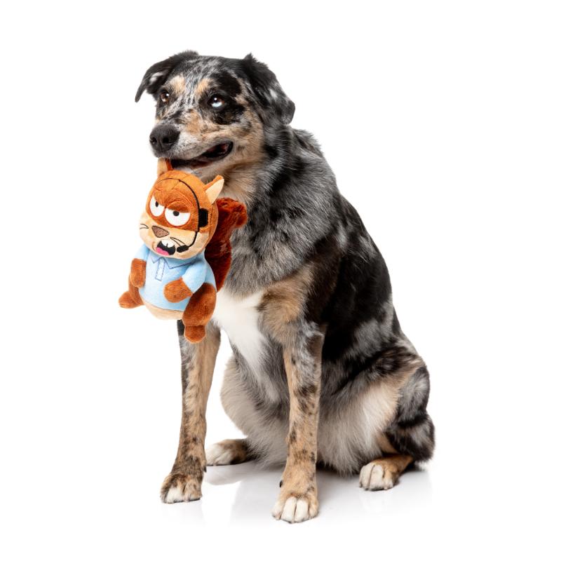 Dog Toy - Drive Ya Nutz