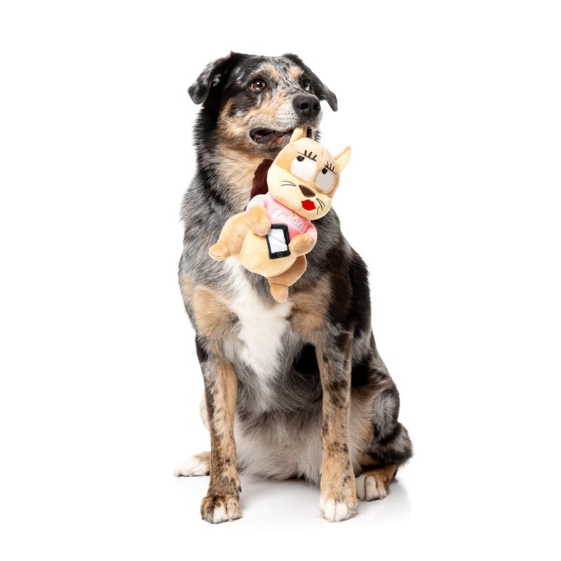 Dog Toy - Drive Ya Nutz