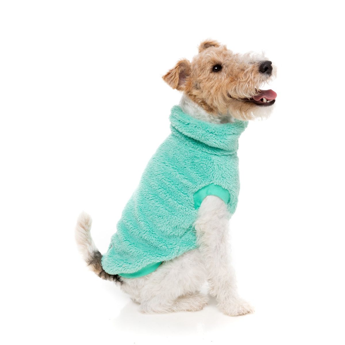 Turtle Teddy Sweater - Ver 4.0