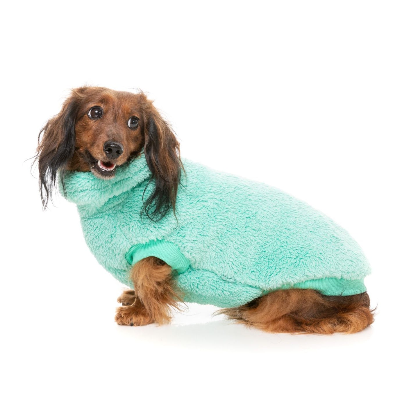 Turtle Teddy Sweater - Ver 4.0