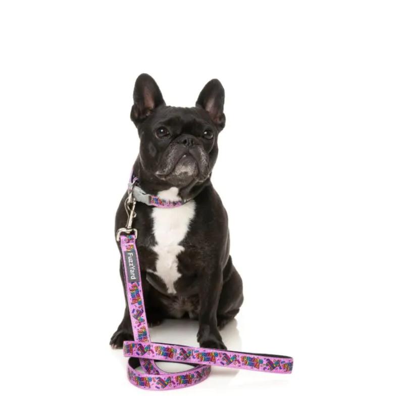 Siesta Fiesta Dog Lead