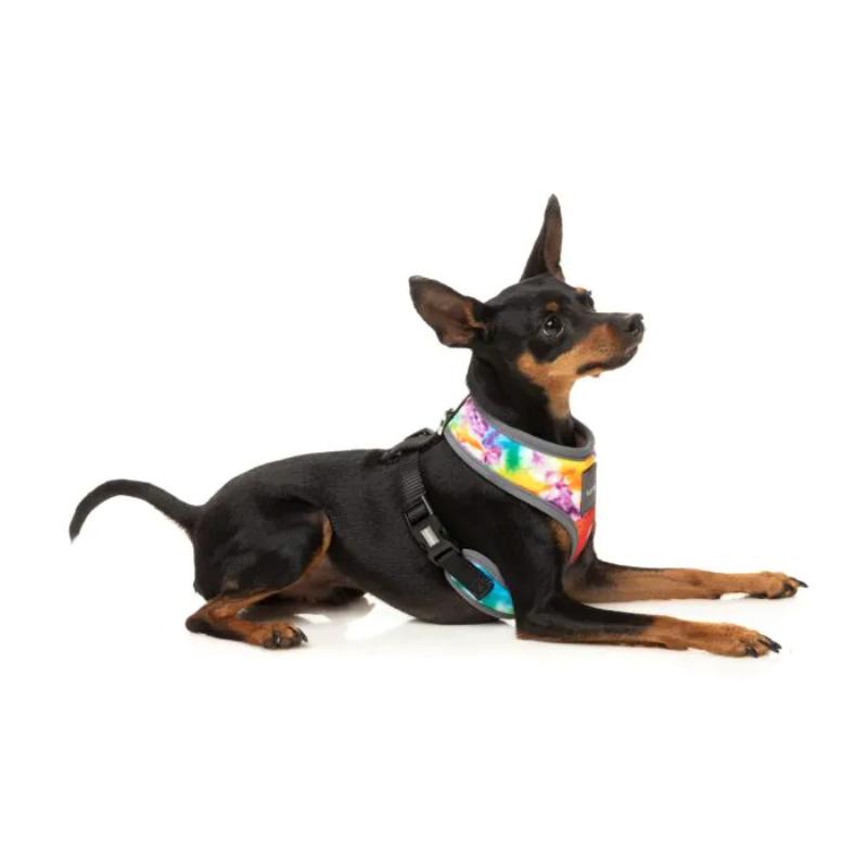 Harnais - Patron ver.1