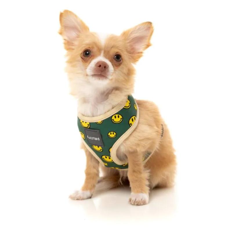 Biggie Smiles Harness