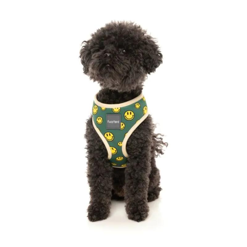 Biggie Smiles Harness