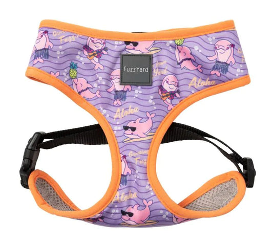 Aloha Dolphins Harness