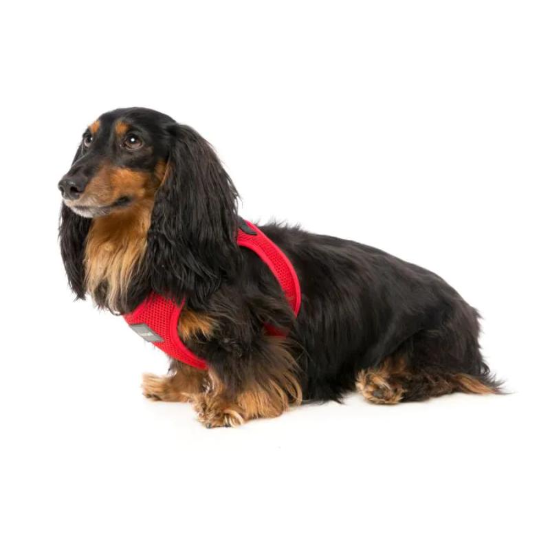 Rebel Dog Step In Harness