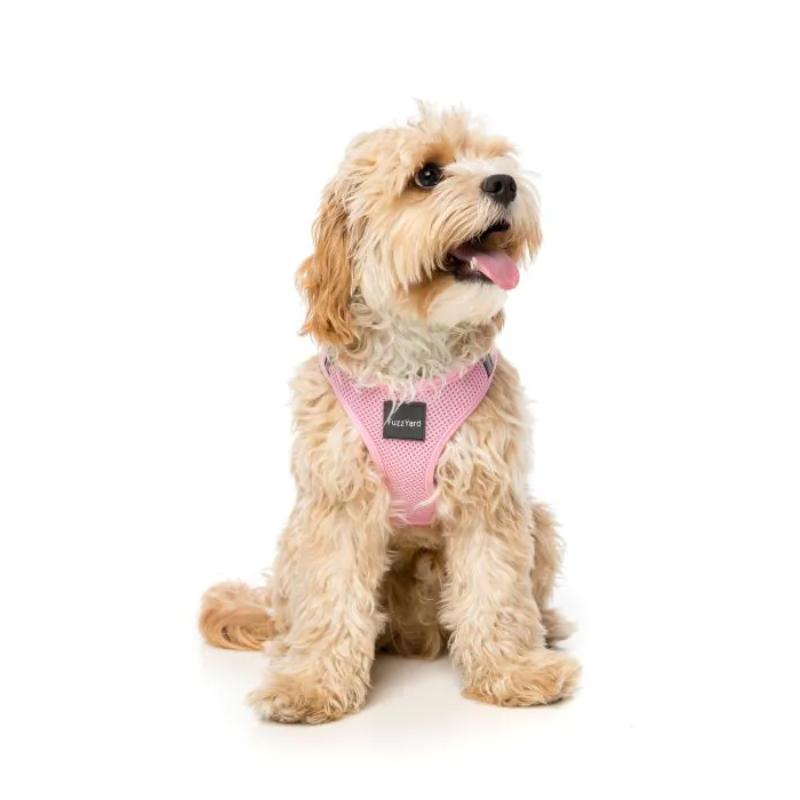 Harnais pour chien Step In - Modèle ver.2 