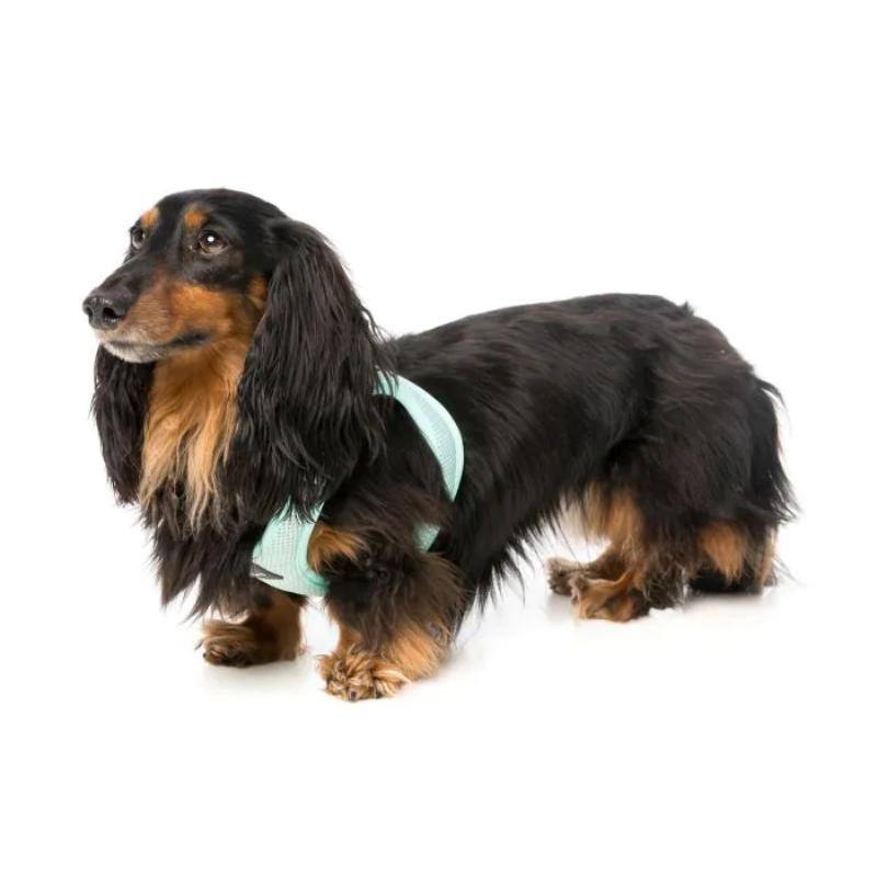 Mint Dog Step In Harness