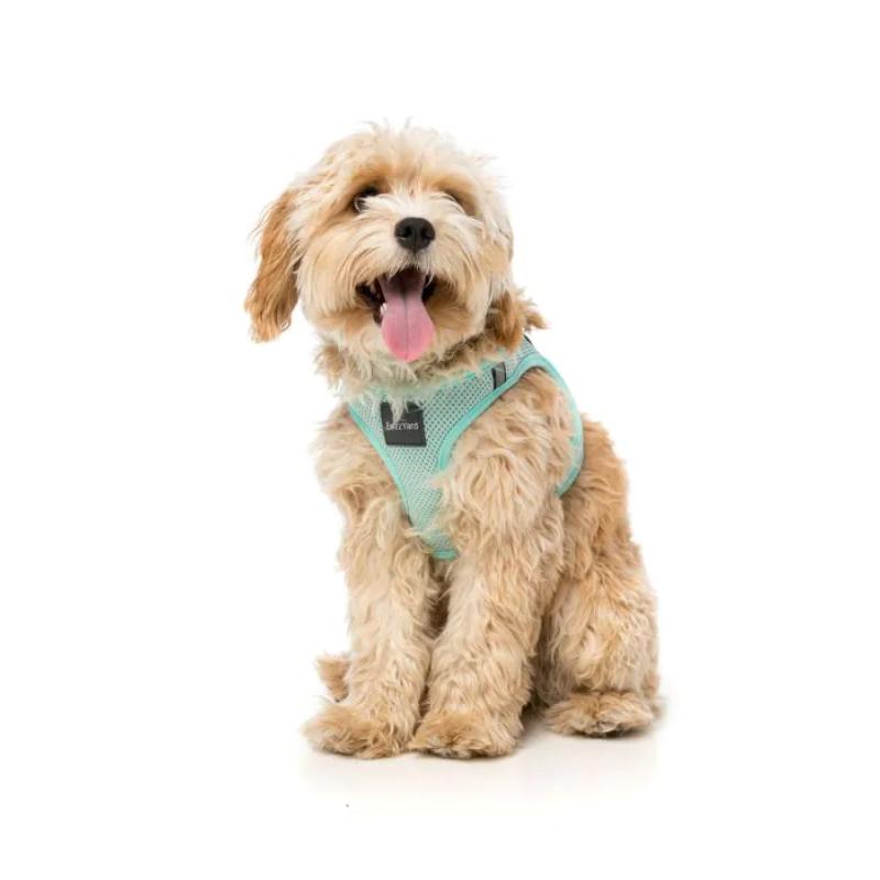 Mint Dog Step In Harness