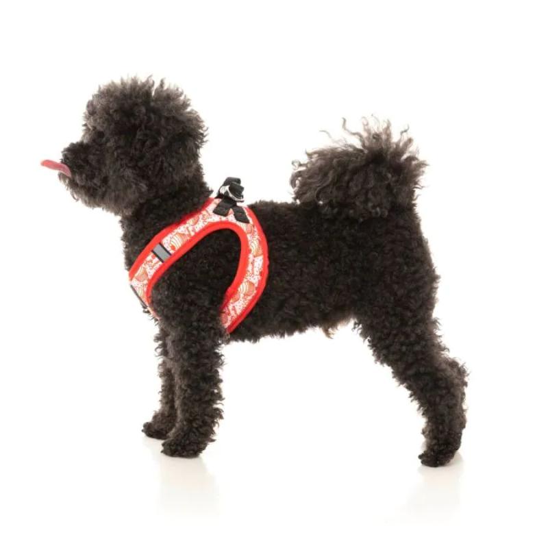 Hey There Sweetie Dog Step In Harness