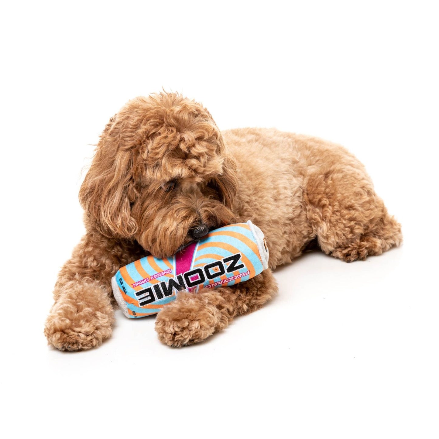 Jouet pour chien - Peluches